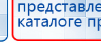 СКЭНАР-1-НТ (исполнение 02.1) Скэнар Про Плюс купить в Норильске, Аппараты Скэнар купить в Норильске, Медицинский интернет магазин - denaskardio.ru